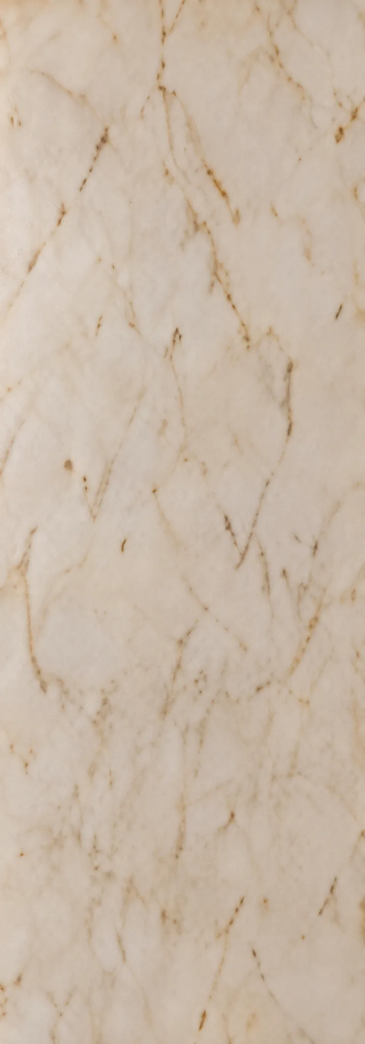 White marble with fine gold veins, close up