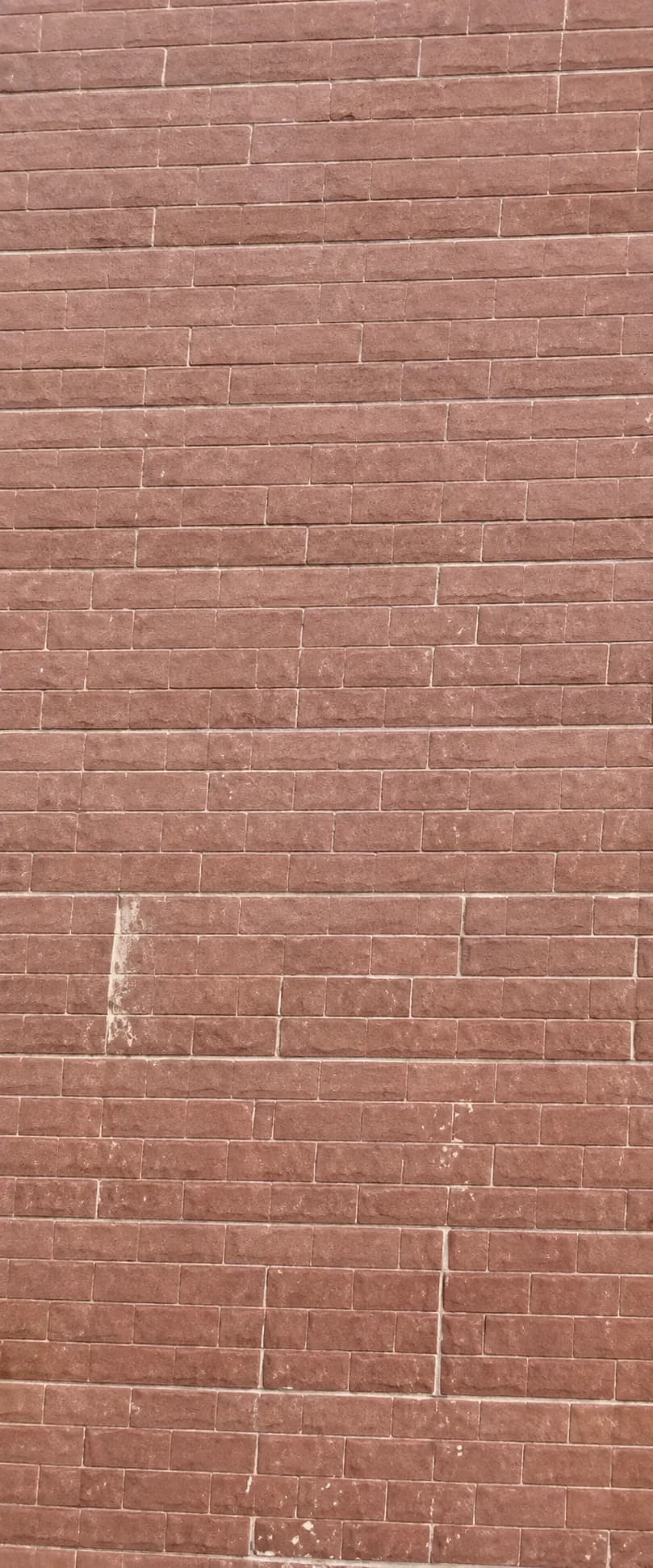 Close to the restaurant's wall: long red bricks laid in thin courses